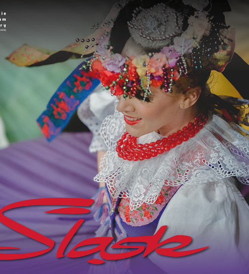 https://www.bck.usermd.net/sites/default/files/web_slask.png